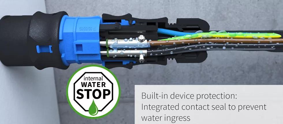 1630568597355113Fppf.jpg 23.jpg