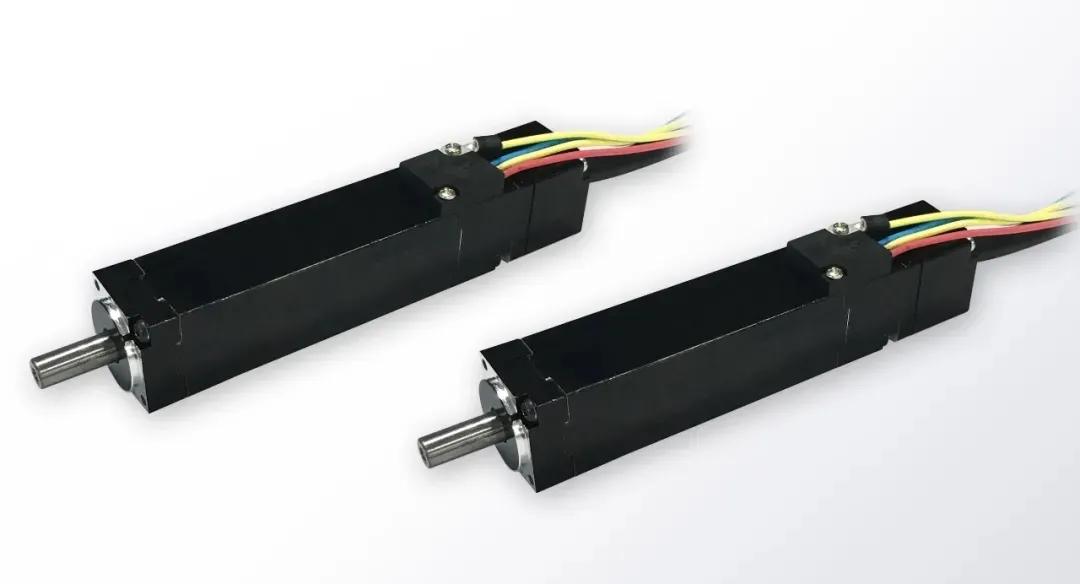 1631252664326047qUQa.jpg 81.jpg