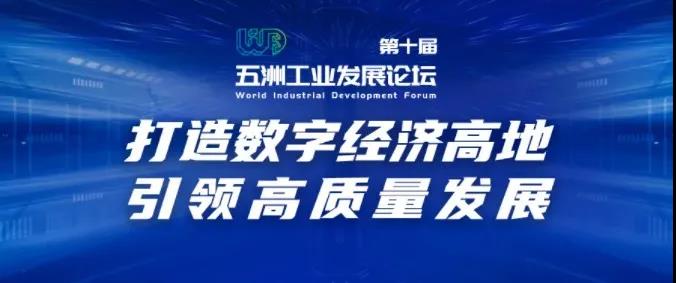 163167039353859807jR.jpg 99.jpg