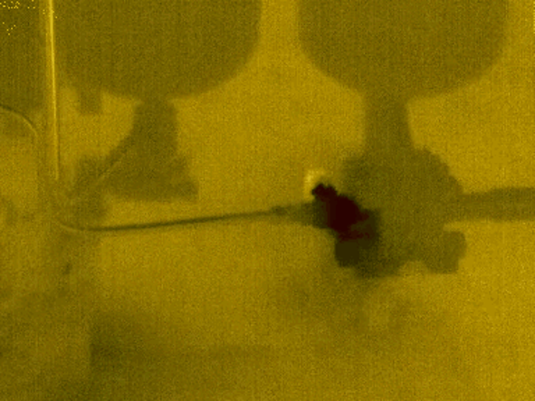 1647843157704534gL2X.png a57e627f1c077abfdff349c5646159c4.png