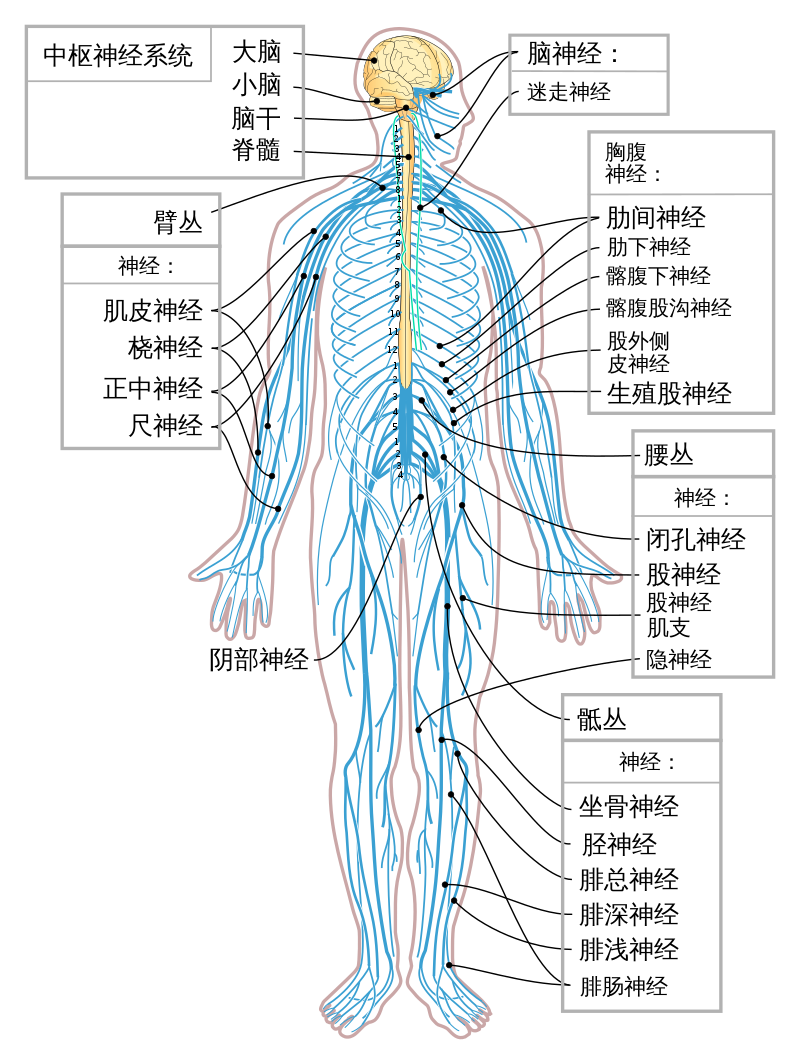 16988040692358773PtB.png 11.1-1.png